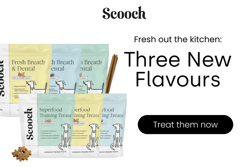 Shop new flavours