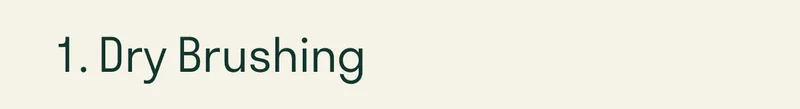 1. Dry Brushing
