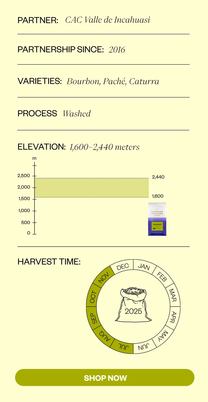 Partner: Partnership Name: CAC Valle de Incahuasi Length Of Partnership: 2016.  Process: Washed Elevation: 1600-2440 masl Varieties: Bourbon, Paché, Caturra Harvest Time: July–November 2025 SHOP NOW