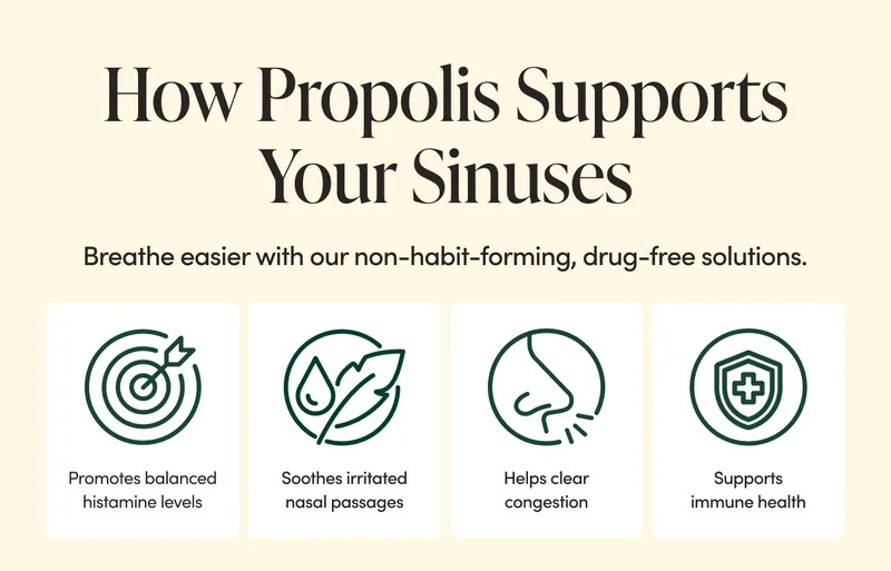 How Propolis Supports Your Sinuses  Breathe easier with our non-habit-forming, drug-free solutions.  Promotes balanced histamine levels  Soothes irritated nasal passages  Helps clear congestion  Supports immune health