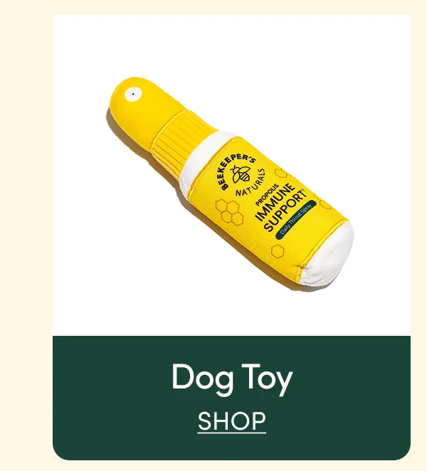 dog toy