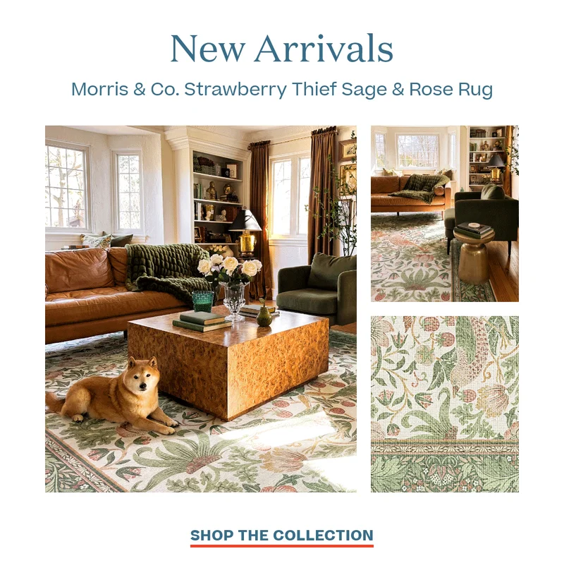 New Arrivals