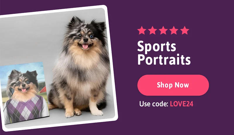 ⭐️⭐️⭐️⭐️⭐️ Sports Portraits. Code: discount code
