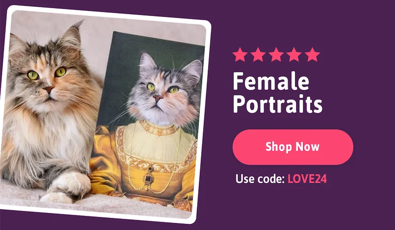 ⭐️⭐️⭐️⭐️⭐️ Female Portraits. Code: discount code