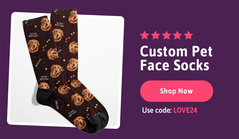 ⭐️⭐️⭐️⭐️⭐️ Dog Dad Socks. Code: discount code