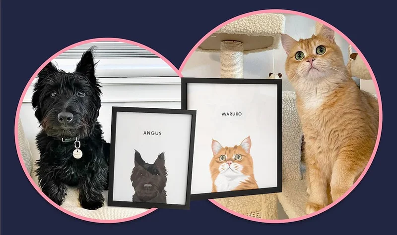 Modern Pet Portrait customer photos