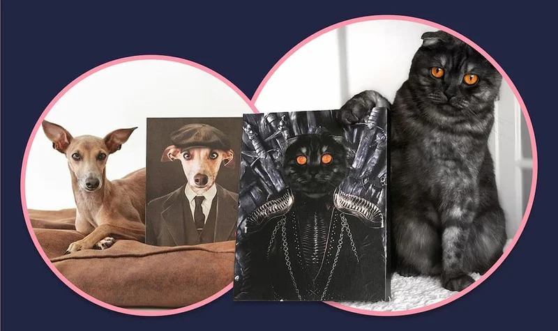 TV + Movies Pet Portrait customer photos