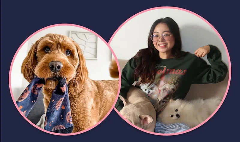 Custom Pet Face sweatshirt and printed socks customer photos