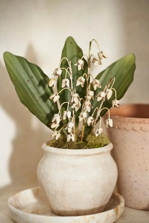 Lily of the Valley Iron Bunch