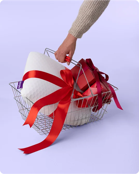 Free Harmony Anywhere™ Pillow with Restore mattress purchase