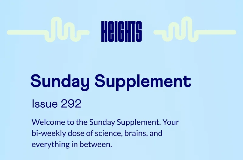 Sunday Supplement 292