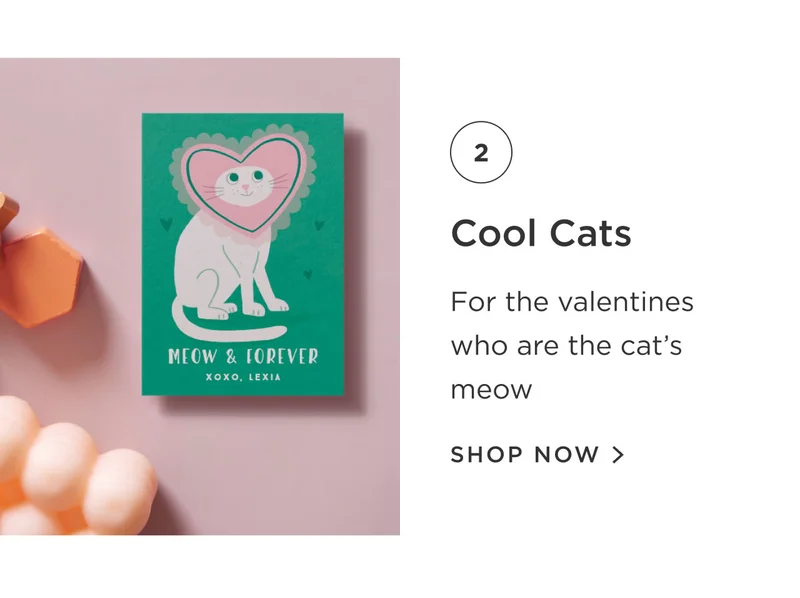Cool Cats