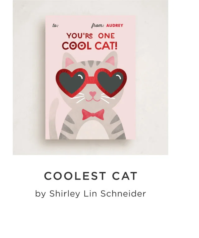 Coolest Cat