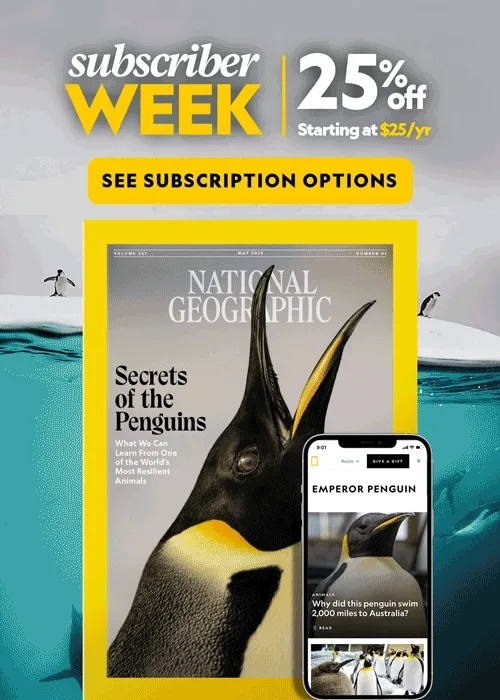 Subscribe to Nat Geo Today!