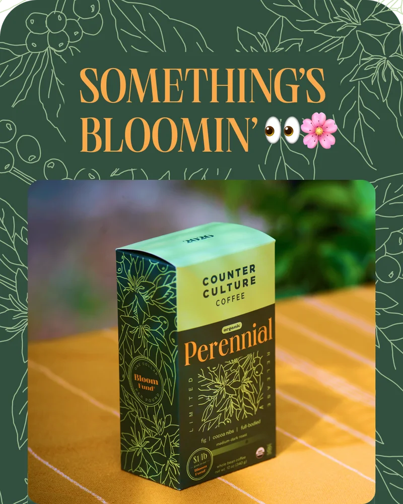 Something's Bloomin' Sign up for texts andbe the first one to know when it drops. CTA: Text Me3 Something's Bloomin' Sign up for texts andbe the first one to know when it drops. CTA: Text Me3