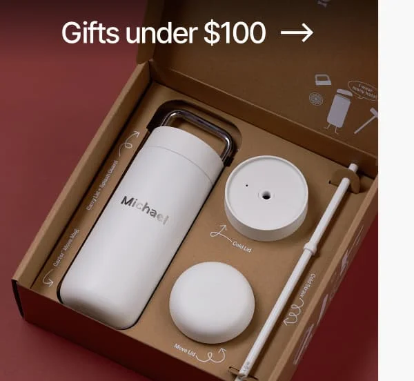 Gifts under $100