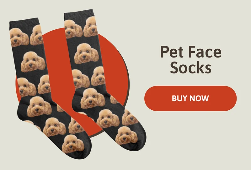 Pet Face Socks