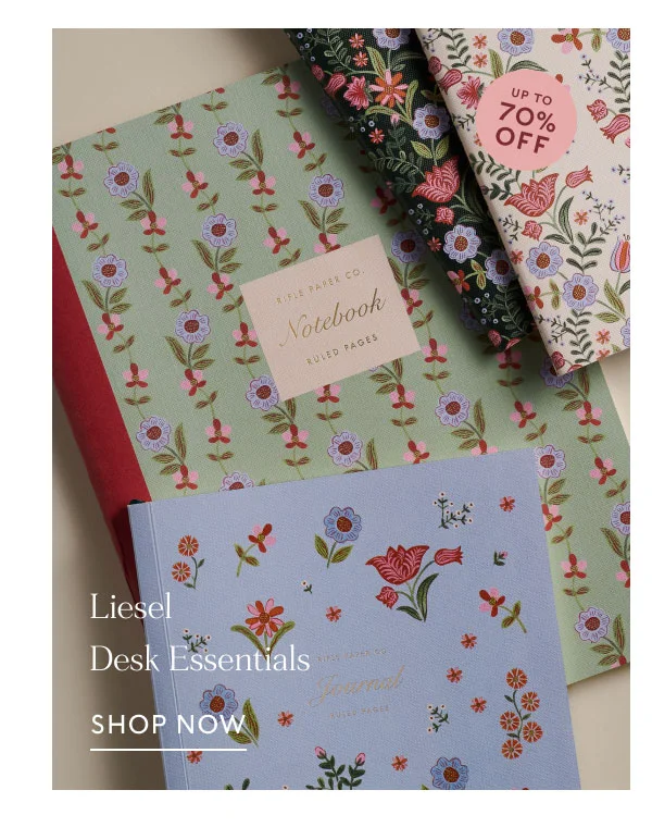 Liesel Desk Essentials Shop Now