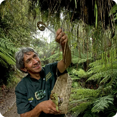 Exploring nature in New Zealand