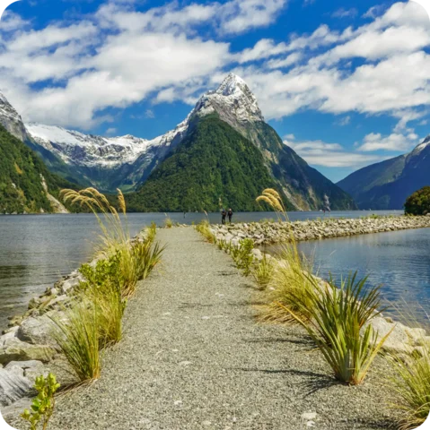Hiking in New Zealand