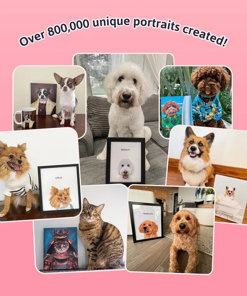 Over 800,000 pet portraits created! - Collage of customers photos of their portraits