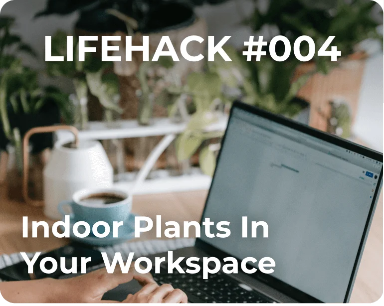 Lifehack #004 Indoor Plants In Your Workspace