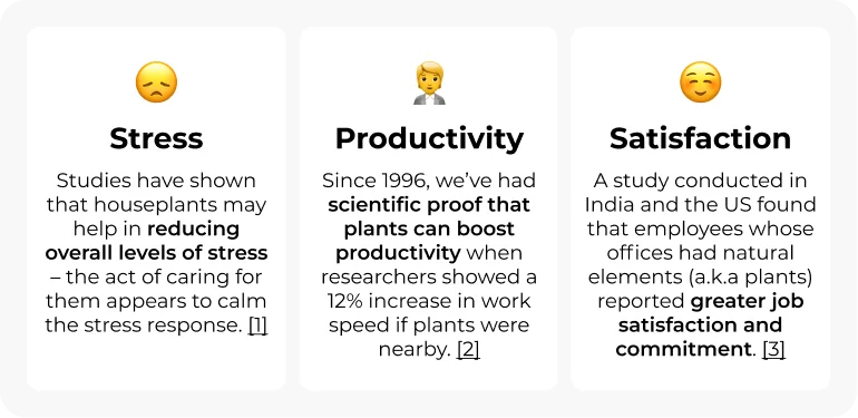 Since 1996, we’ve had scientific proof that plants can boost productivity, when researchers showed a 12% increase in work speed if plants were nearby. [2] Finally, one of the incredible benefits of indoor plants is general well-being, especially at work. A study conducted in India and the US found that employees whose offices had natural elements (a.k.a plants) reported greater job satisfaction and commitment. [3]