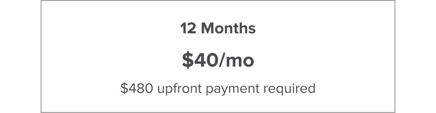 12 Months $40/mo