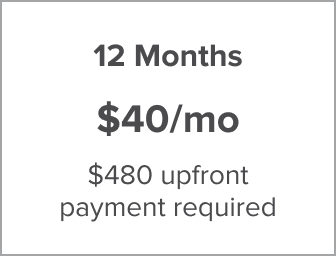 12 Months $40/mo
