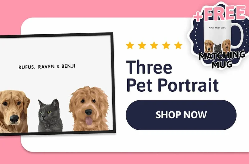 Modern Portrait - Three Pets + FREE MATCHING MUG
