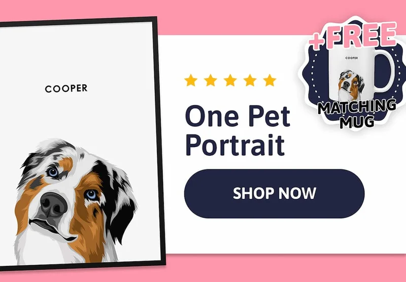 Modern Portrait - One Pet + FREE MATCHING MUG