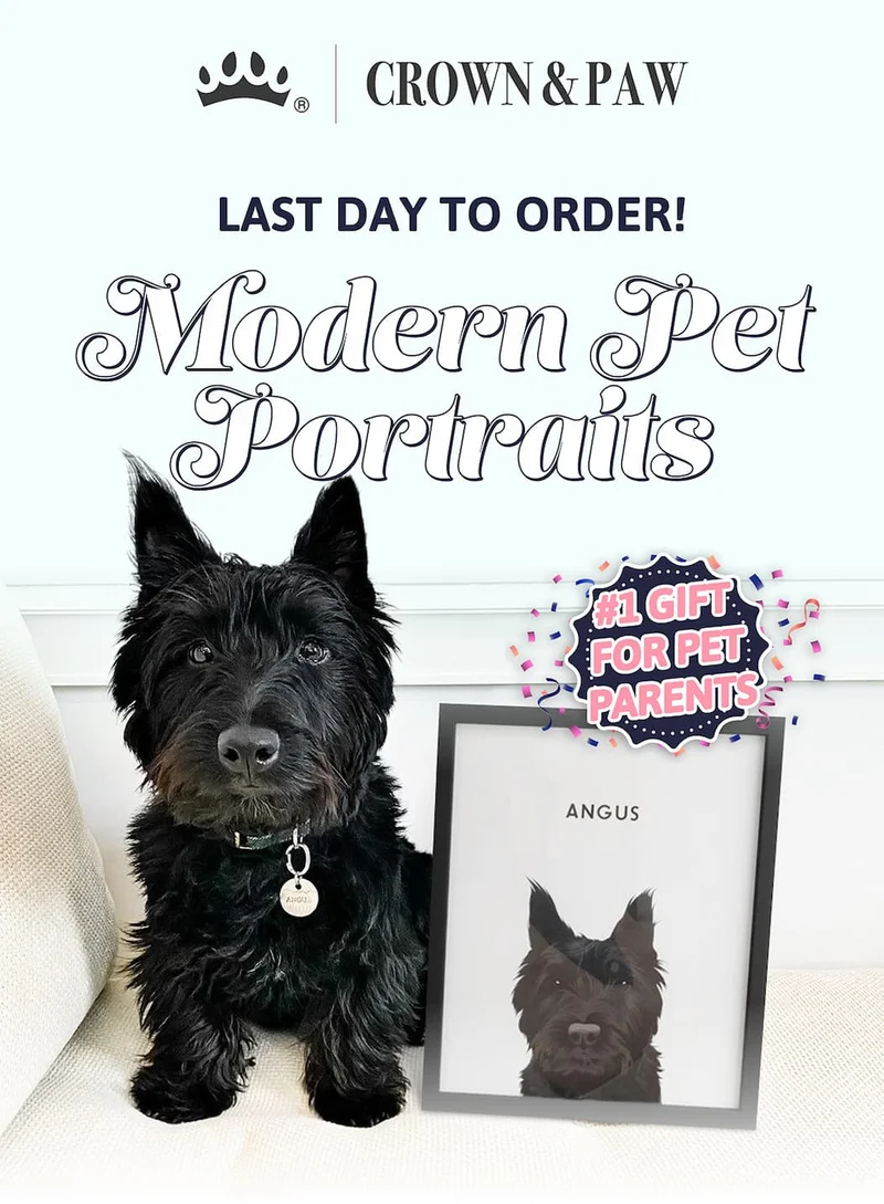 Last day to order: Modern Pet Portraits | #1 Gift for Pet Parents