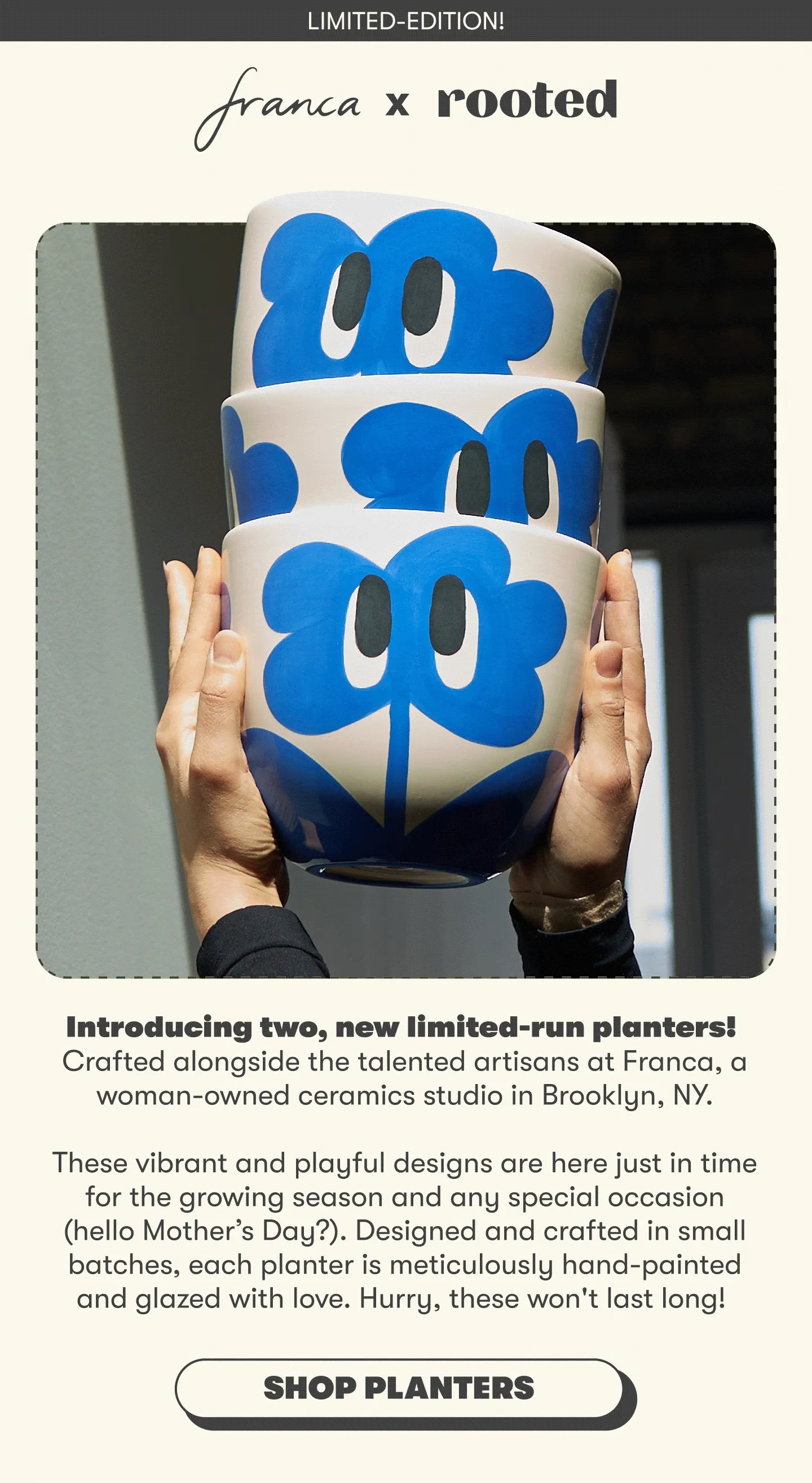 LIMITED-EDITION! Rooted x Franca Introducing two, new limited-run planters! Crafted alongside the talented artisans at Franca, a woman-owned ceramics studio in Brooklyn, NY.  These vibrant and playful designs are here just in time for the growing season and any special occasion (hello Mother’s Day?). Designed and crafted in small batches, each planter is meticulously hand-painted and glazed with love. Hurry, these won't last long! [ SHOP NOW]