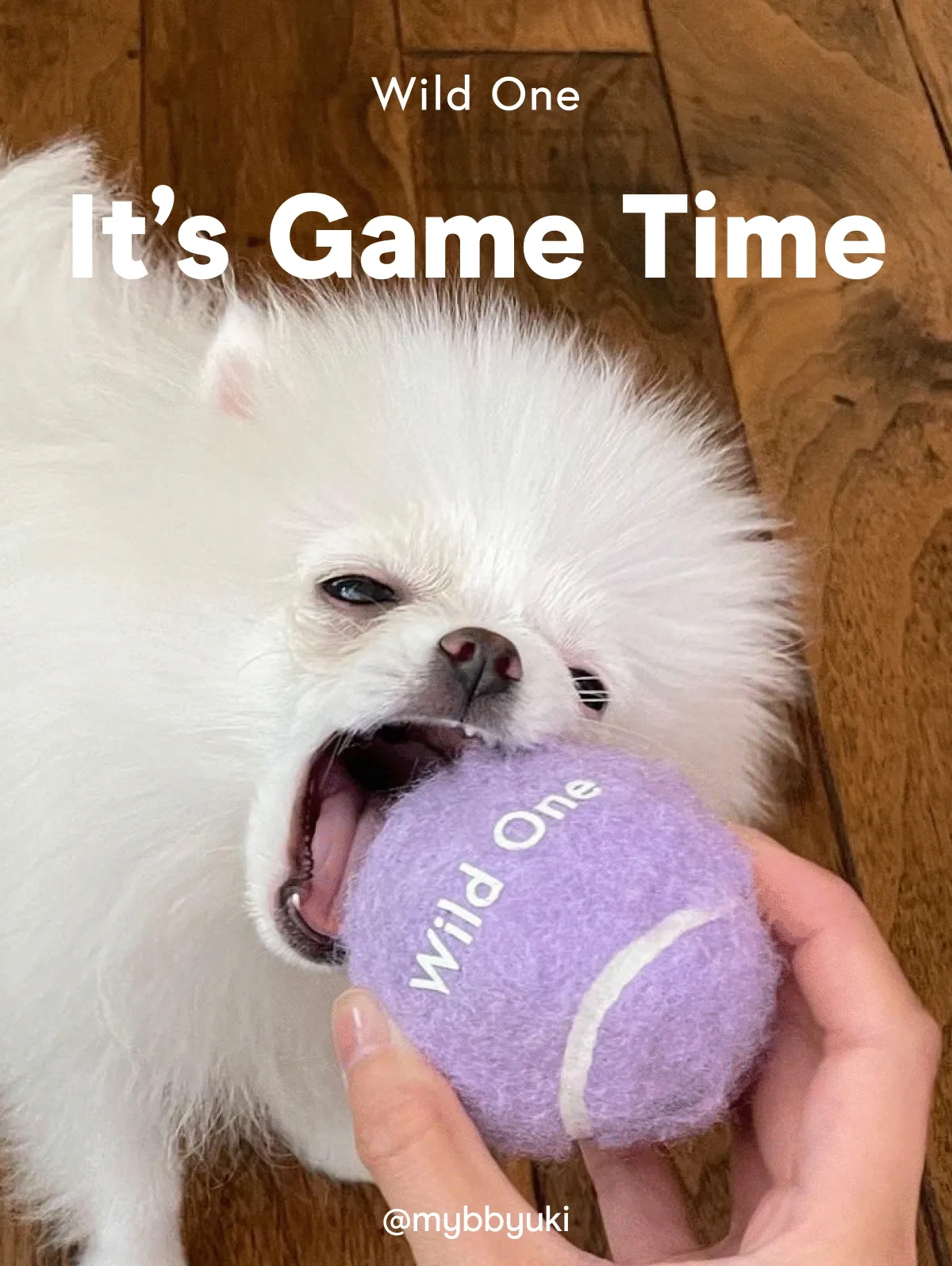 IT'S GAME TIME