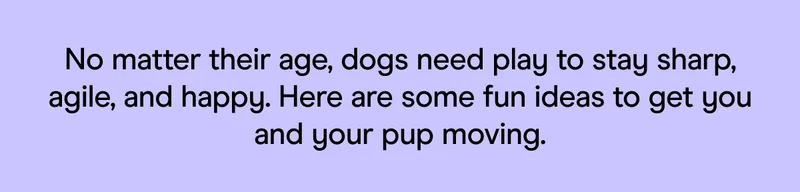 No matter their age, dogs need play to stay sharp, agile, and happy. Here are some fun ideas to get you and your pup moving.