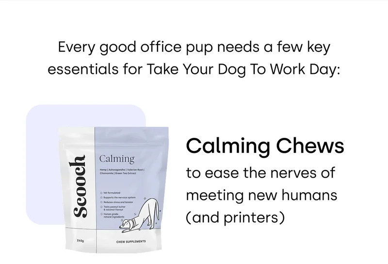 Calming Chews – to ease the nerves of meeting new humans (and printers)