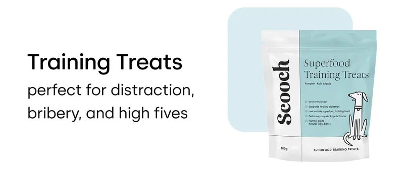 Training Treats – perfect for distraction, bribery, and high fives