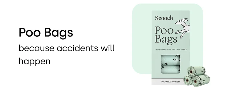 Poo Bags – because accidents will happen