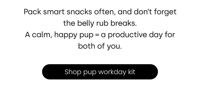 Shop pup workday kit