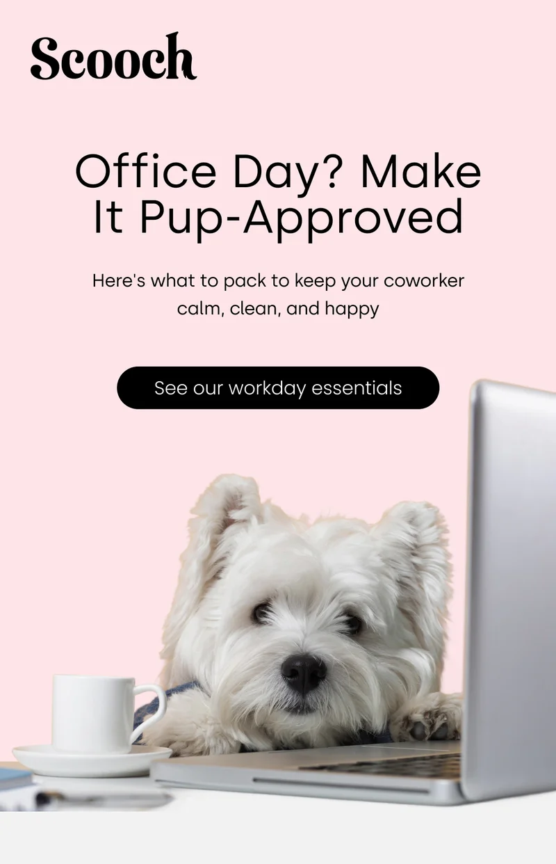 Everything you need for a stress-free office day