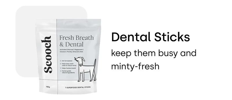 Dental Sticks – keep them busy and minty-fresh