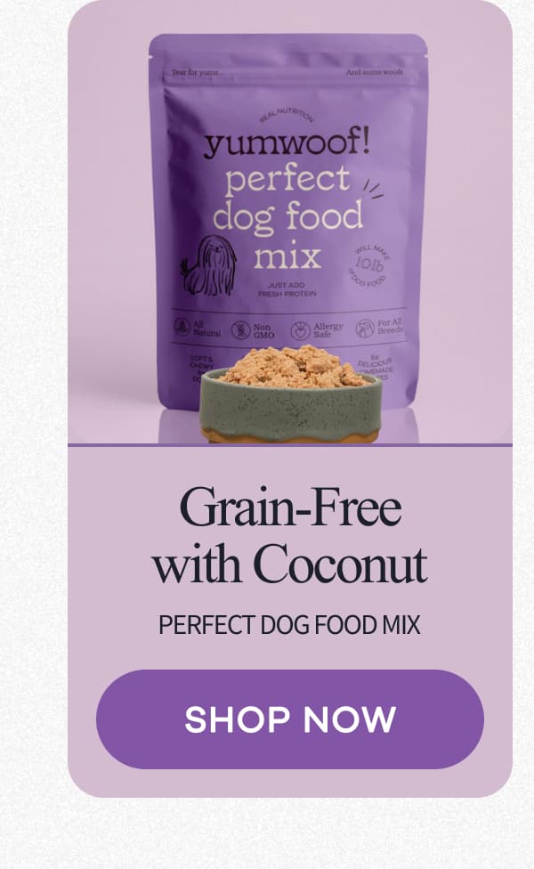 Grain-Free with Coconut perfect dog food mix | SHOP NOW