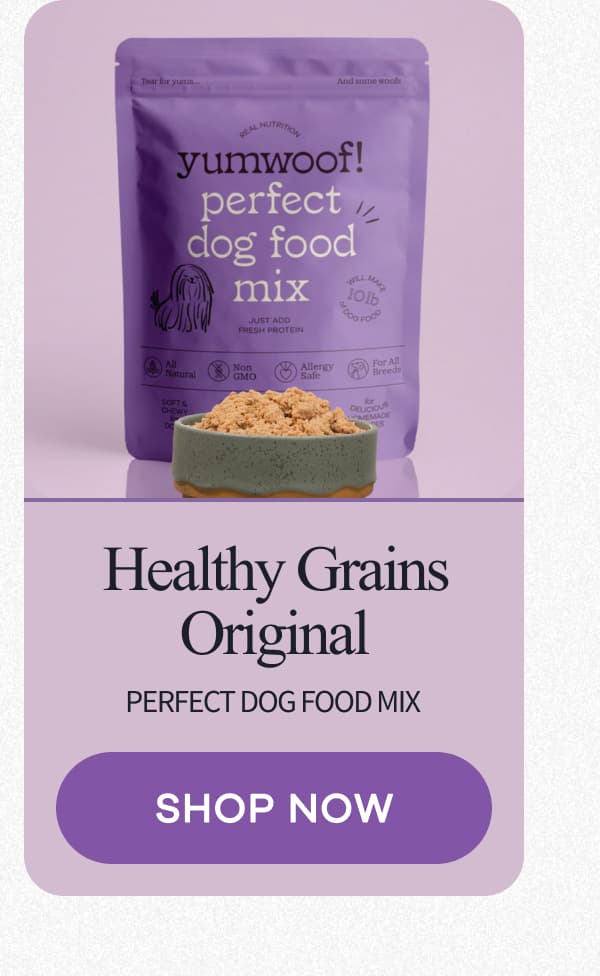 Healthy Grains Original perfect dog food mix | SHOP NOW