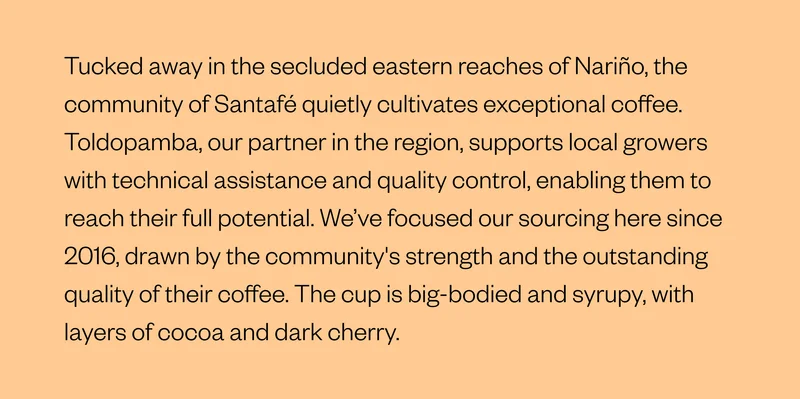 Tucked away in the secluded eastern reaches of Nariño, the community of Santafé quietly cultivates exceptional coffee. Toldopamba, our partner in the region, supports local growers with technical assistance and quality control, enabling them to reach their full potential. We’ve focused our sourcing here since 2016, drawn by the community's strength and the outstanding quality of their coffee. The cup is big-bodied and syrupy, with layers of cocoa and dark cherry.