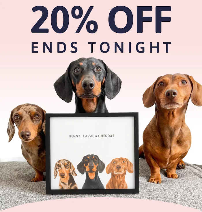 Get Gifts Early Sale. Shop 20% Off everything.