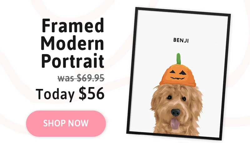 Framed Modern Pet Portrait. Was $69.95. Today $56.