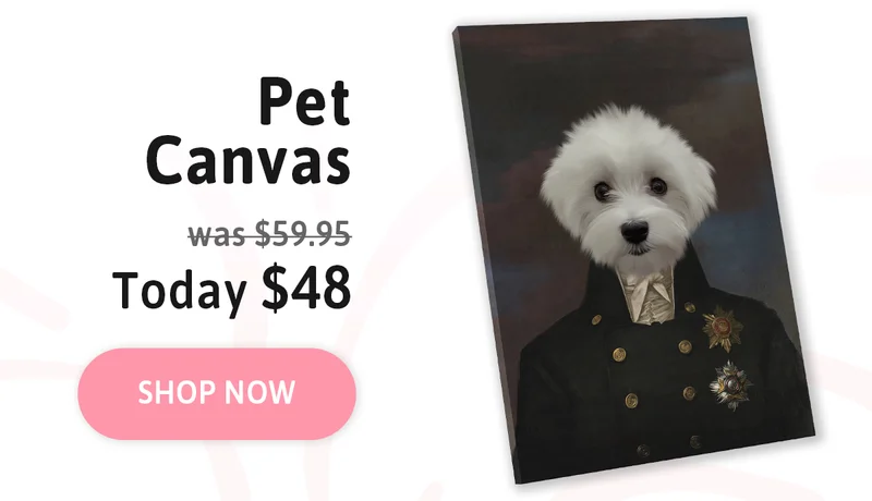Custom Pet Canvas. Was $59.95. Today $48.