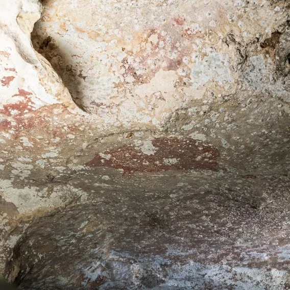 a picture of a cave with illustrations