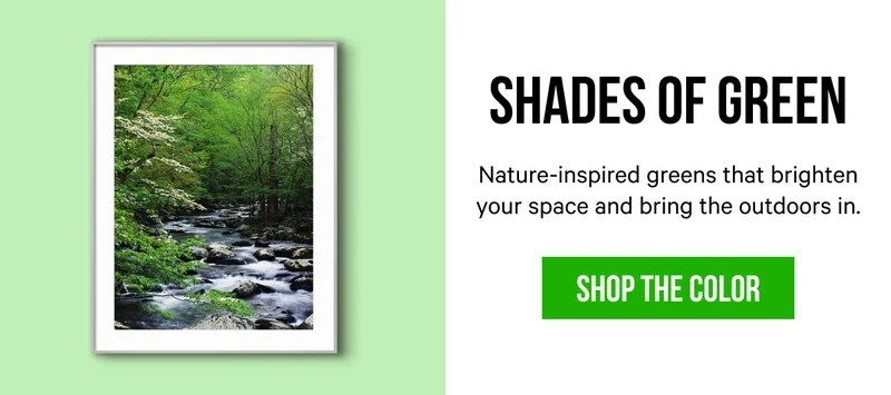 Shades of Green: Nature-inspired greens that brighten your space and bring the outdoors in.