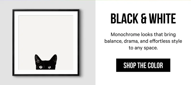 Black & White: Monochrome looks that bring balance, drama, and effortless style to any space.